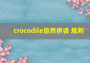 crocodile自然拼读 规则